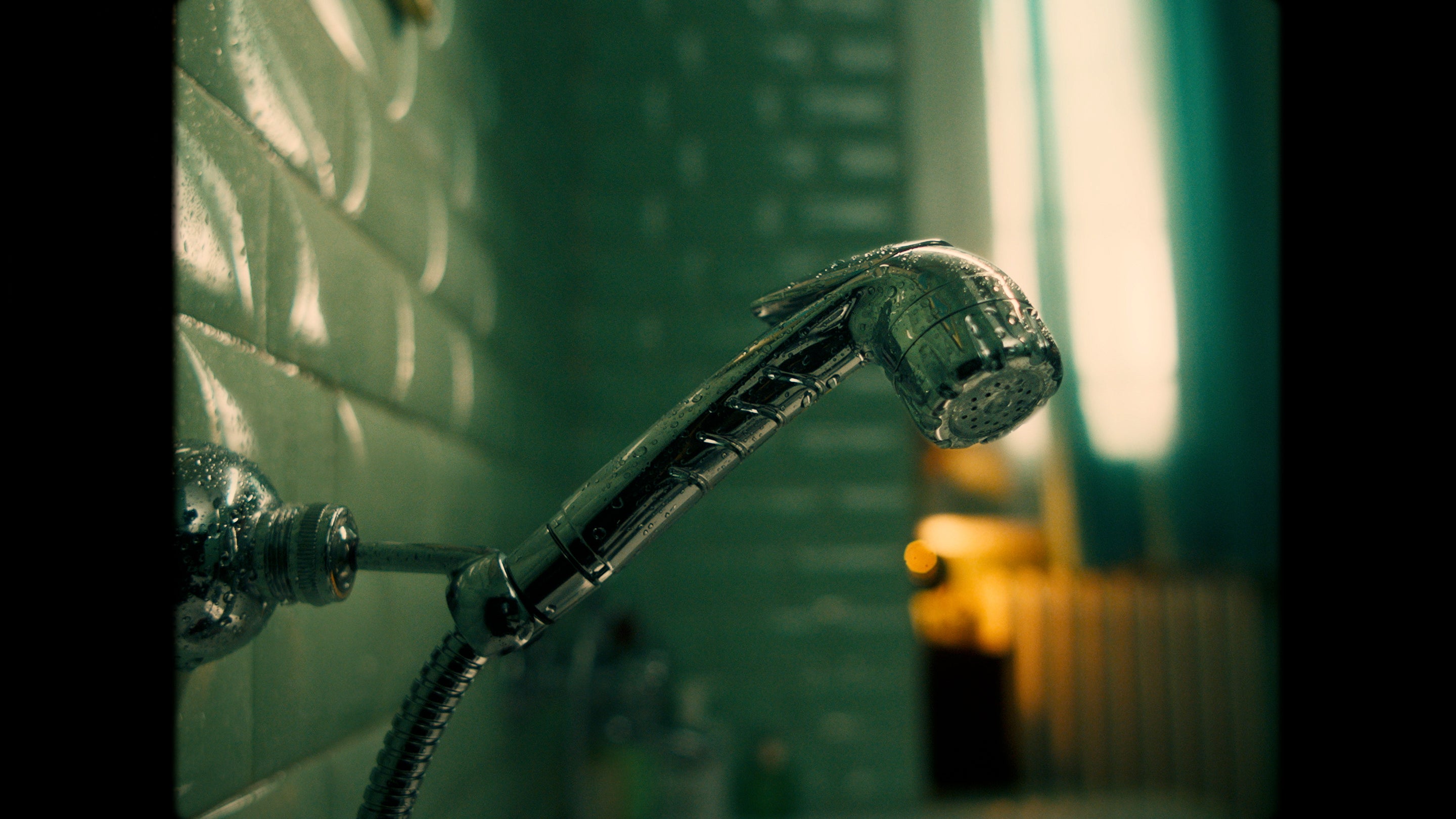 Metal Showerhead in bathroom