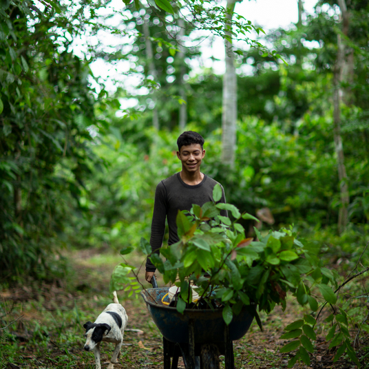 man and his black and white dog walking through a forest with a wheelbarrow full of leaves 